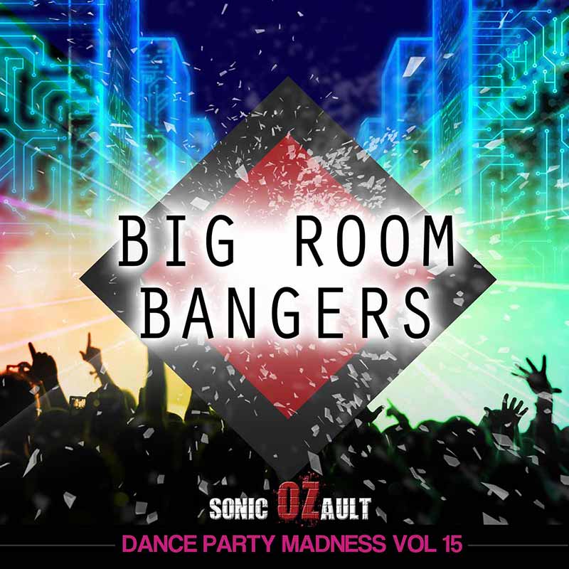 Dance Party Madness Vol 15 Big Room Bangers