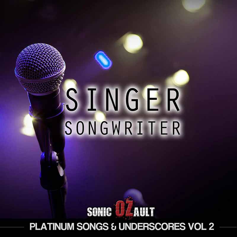 Platinum Songs and Underscores Vol 2 Singer Songwriter (TRIPLE ALBUM)