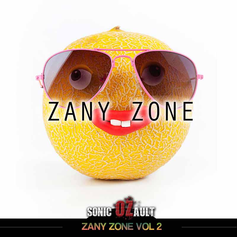 Zany Zone Vol 2